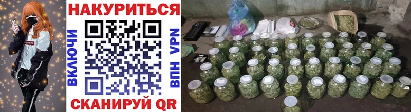 Бошки Шишки план  Печора 